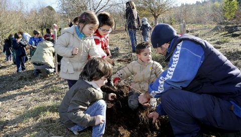 Los pequeos, de 3 a 6 aos de edad, participaron en la plantacin de ms de 30 rboles de diversas especies en A Madroa. 