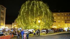 Fiesta en Barbad�s por el encendido de las luces navide�as del 2021