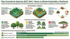 Plan forestal de Asturias 2027-2041