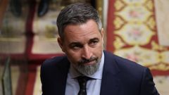 Santiago Abascal, presidente de Vox, en el Congreso