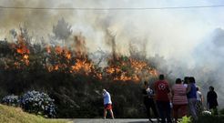 El incendio de ayer en Esmelle afect� fundamentalmente a �reas de matorrales. 