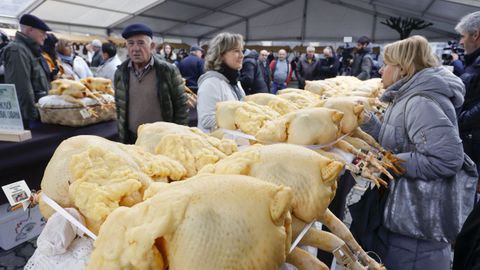 Capones a la venta en Vilalba en la feria del ao pasado.