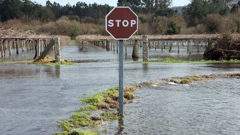 Los alrededores del Umia siguen completamente inundados