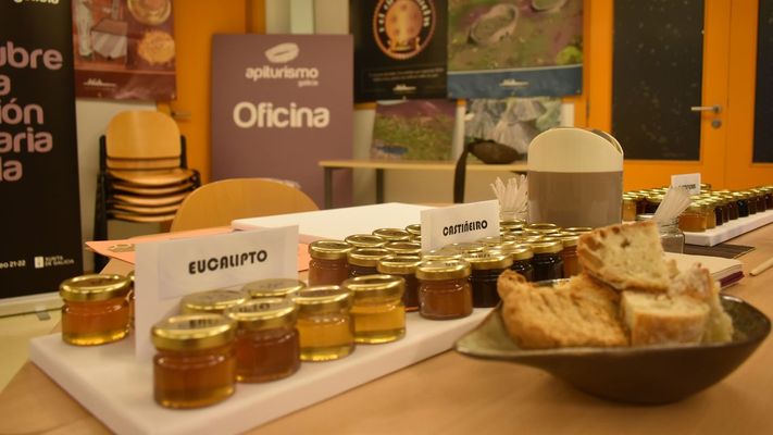 Algunas de las actividades organizadas en anteriores ediciones de esta muestra