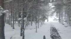 Nieva en la estaci�n de esqu� de Manzaneda