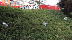 La Federaci�n de vecinos denuncia la falta de limpieza en la mayor�a de los barrios de A Coru�a