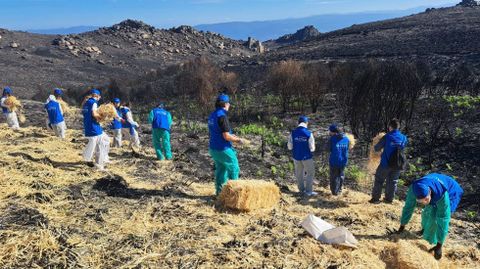 El programa de voluntariado de Abanca volvió a Manzaneda.