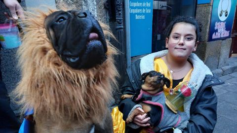 Carnaval en la calle de la Torre