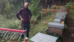 Iago Vilela, en uno de sus colmenares, en Cedeira, con las abejas protegidas con arpas el�ctricas