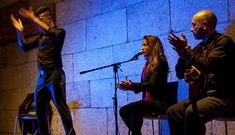 El conjunto Iria Pe�a Tr�o en medio de uno de sus conciertos de m�sica flamenca. 