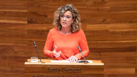 La portavoz de Ciudadanos en la Junta General, Susana Fern�ndez