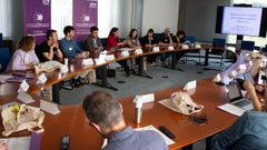Reunin de alcaldes y concejales vinculados al BNG esta maana en Bruselas, invitados por la eurodiputada Ana Miranda.