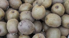 Imagen de archivo de kiwis a la venta en la feria de Carballo