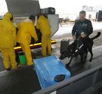 En Peinador se examinan entre 800 y 1.000 maletas al d�a. 