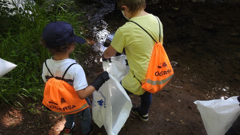 Recogida de basuraleza