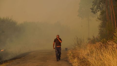 Incendio forestal en Meln, entre las aldeas de Quins y Vilaverde