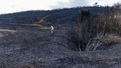 Estado del terreno en Cai�n, en una imagen de este martes 