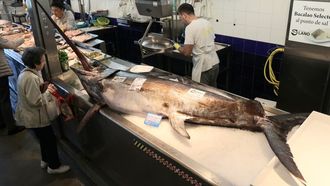 En la imagen, el pez espada de 128 kilos en el mostrador de Pescados Lano