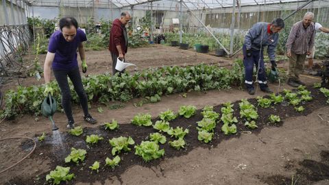 Dos personas con problemas de adicción de Alborada trabajan en las huertas de la entidad