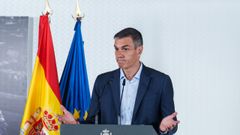 El presidente del Gobierno, Pedro S�nchez, durante el encuentro de pol�ticas de apoyo a la discapacidad celebrado en Madrid