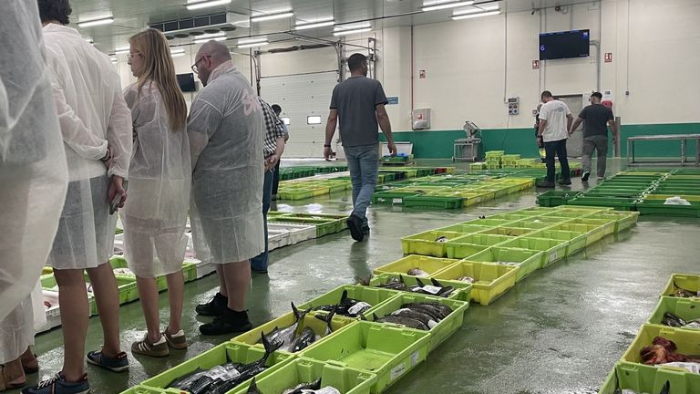 La visita guiada a la lonja de pescado de Burela