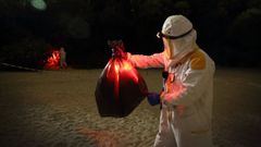 Los bomberos realizan trabajos como la retirada de nidos de velutinas