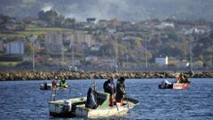 Mariscadores faenando en el banco de As P�as