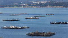 En una imagen de archivo, bateas de mejilln en la ra de Arousa