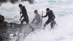 Percebeiros en Corme.