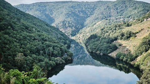 El fotógrafo y viticultor Xaime Cortizo expone en Sober hasta el 31 de julio.