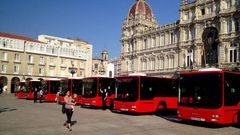 Nuevos autobuses para la flota de Tranv�as