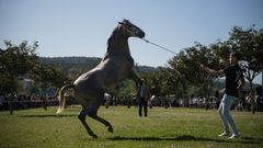 As� fue el d�a grande de San Marcos