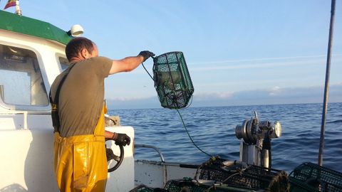 pesquer�as tradicionales del pulpo en el occidente de Asturias