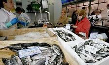 Los puestos de abastos gallegos ofrecen estos d�as pescado azul de otros puntos de Espa�a