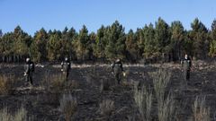 Cuatro agentes de la UIFO sobre el terreno, en una imagen de archivo.