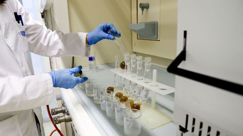 Un laboratorio en una imagen de archivo