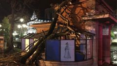 �rbol derribado sobre �El Escorial�n� del paseo de los �lamos, en Oviedo