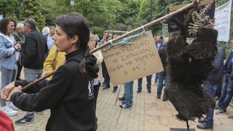 Protesta del campo asturiano en Oviedo.