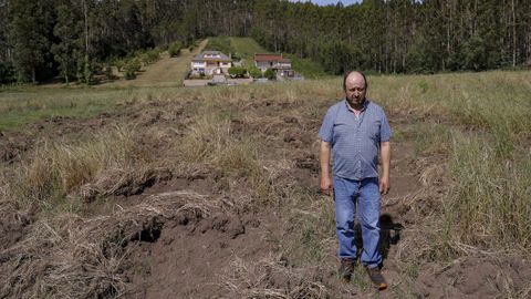 Un vecino de Monfero&nbsp;muestra los da&ntilde;os causados por los jabal&iacute;es