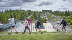 Espina&Delf�n se encargar� del mantenimiento de los albergues de peregrinos