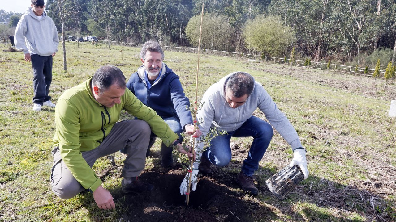 El bosque-escuela Juan Pérez Eyré recibe un empujón de voluntarios