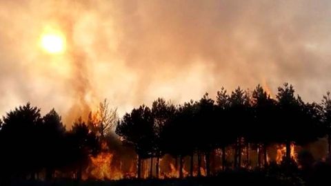 Incendio en un bosque asturiano