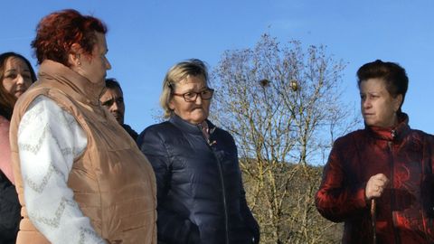 Vecinos de Tors aseguran que viven entre velutinas. En la imagen se divisan al fondo, sobre los rboles