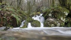 La Rede de Parques Naturais, en im�genes