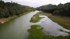 El embalse del Umia est� en alerta por cianobacterias desde el pasado 16 de julio