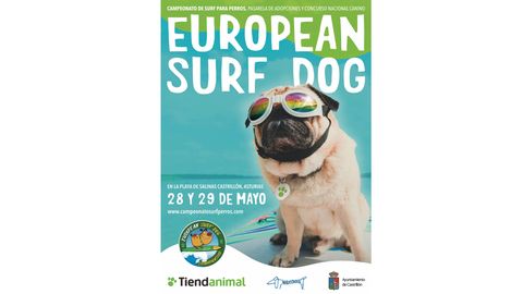 Cartel I Campeonato Europeo de Surf para Perros de Salinas