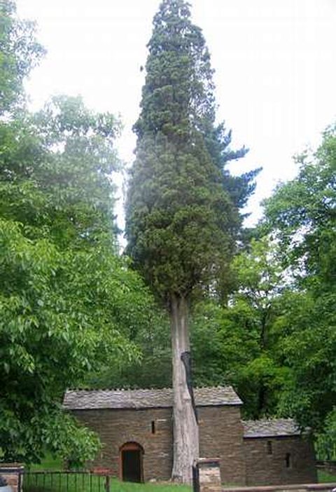 La capilla del ciprés es un precioso rincón de Samos