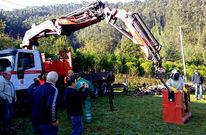 Los propios apicultores retiran nidos, como ocurri� en Loiba, con colaboraci�n del Concello de Ortigueira. 