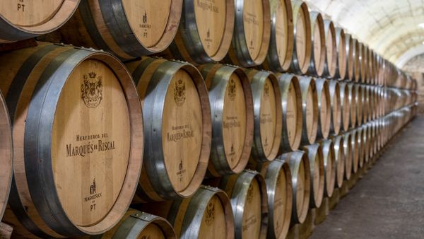 Bodega Marqu�s de Riscal en Elciego