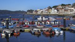 En el puerto de Carril, las ouxas son un enemigo bien conocido